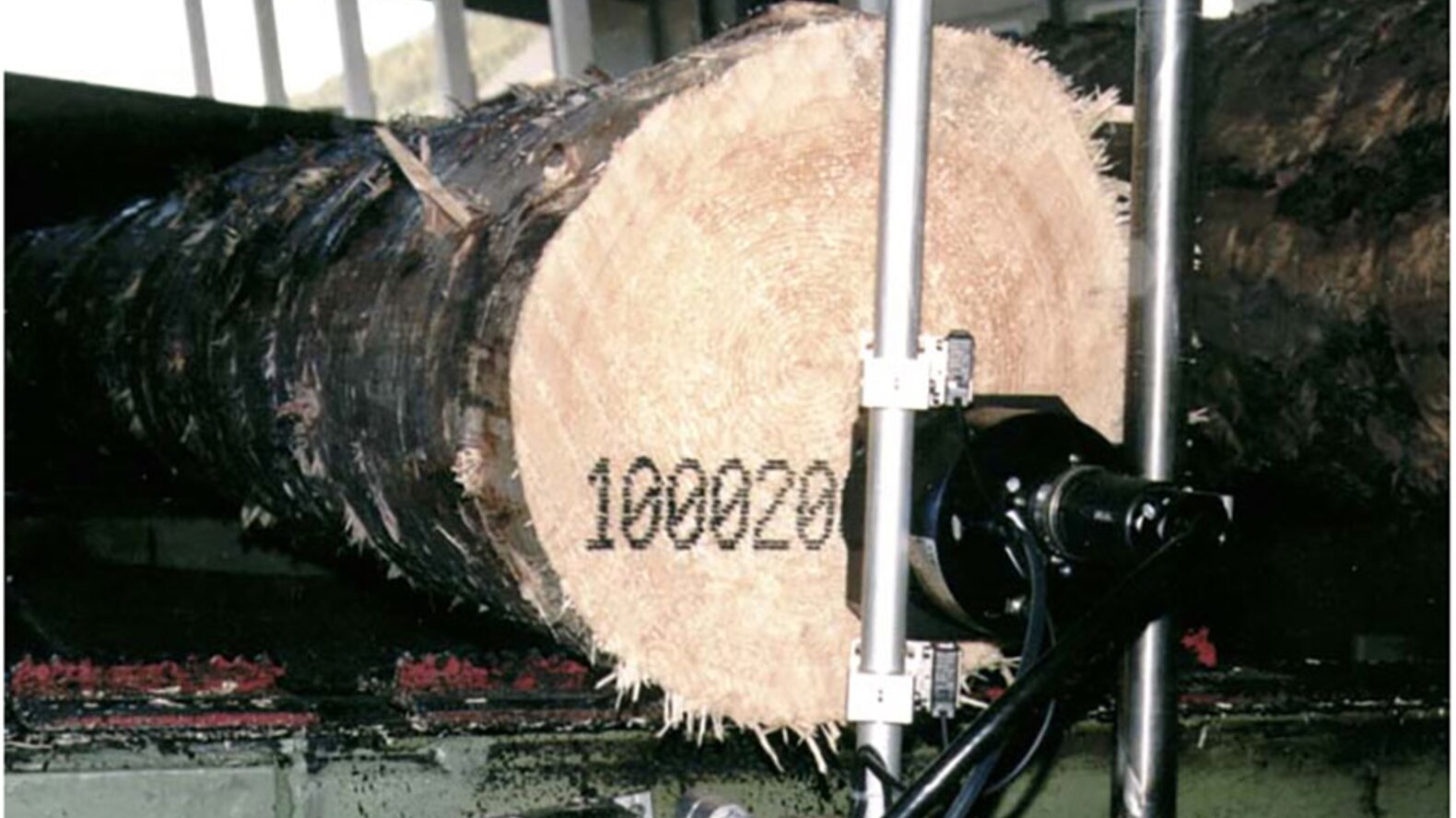 Marking for the wood industry